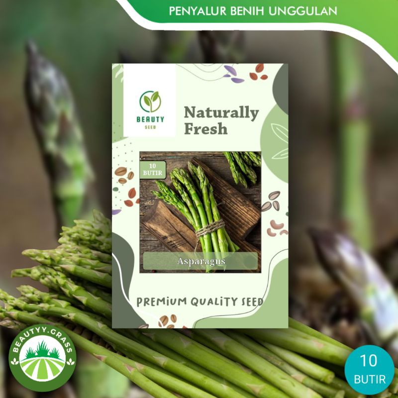 Benih Biji Asparagus - Asparagus Marry Wasington - Asparagus Seed