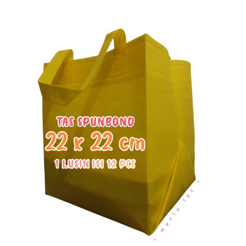 

1 LUSIN ISI 12 PCS TAS HAJATAN SPUNBOND 22X22 CM TINGGI 25 CM