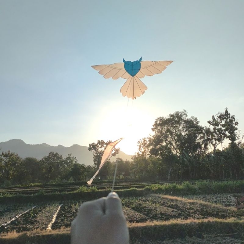 Layangan Love Bersayap - mudah di terbangkan