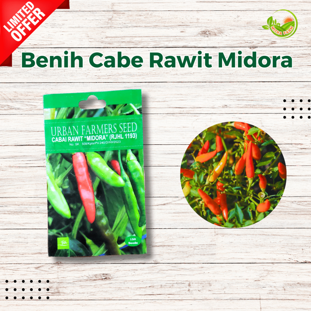 Benih Cabe Rawit Bangkok/Cabe Midora-Benih Cabe Rawit Hijau (Green Cayenne Pepper)