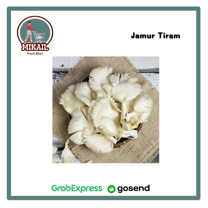 

JAMUR TIRAM 250gr