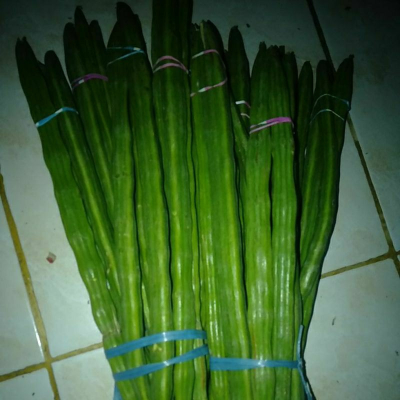 

Klentang Buah Kelor sayur segar