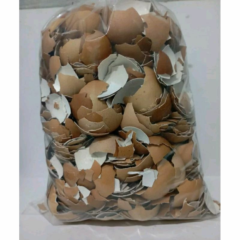 

Cangkang telur kulit telur 1kg