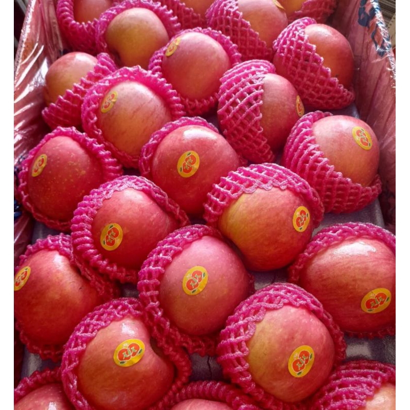 

Apel fuji fresh 1 kg