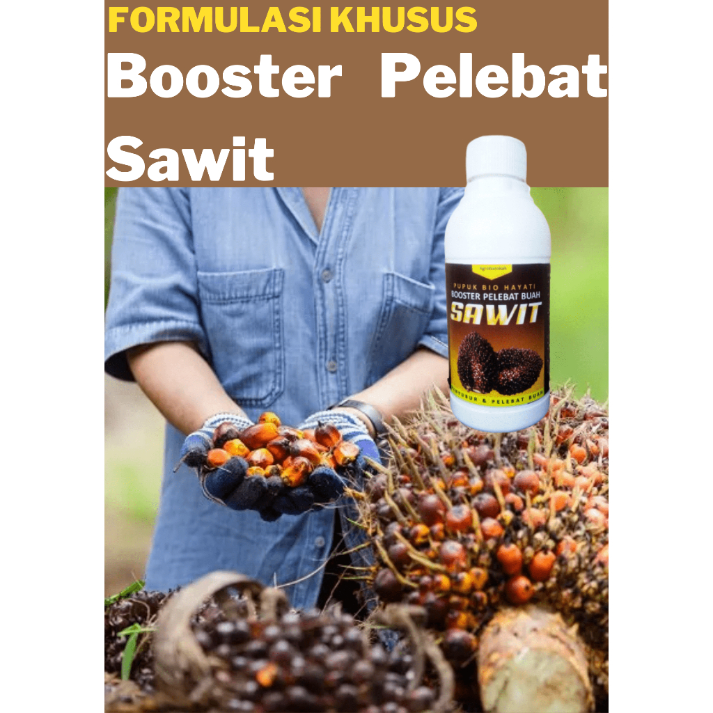 Pupuk Sawit Agar Buah Lebat dan Berat / Pupuk kelapa Sawit / Pupuk Sawit Baru Tanam / Pupuk Sawit Ca