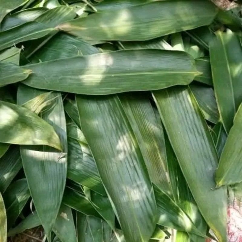 

daun bambu (bungkus bacang) perlembar