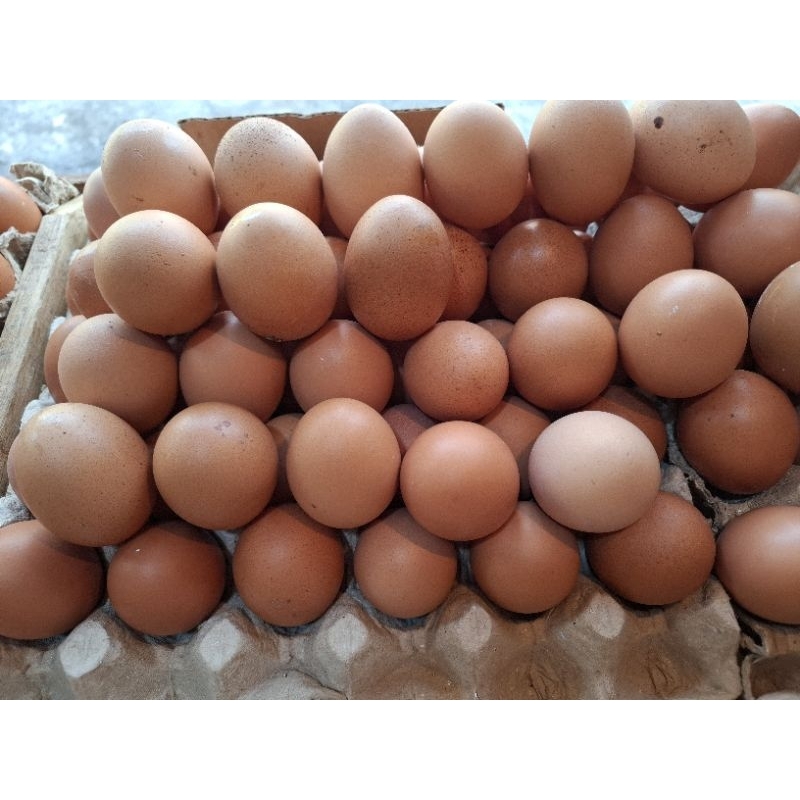 

Telur ayam ukuran kecil (1rak)