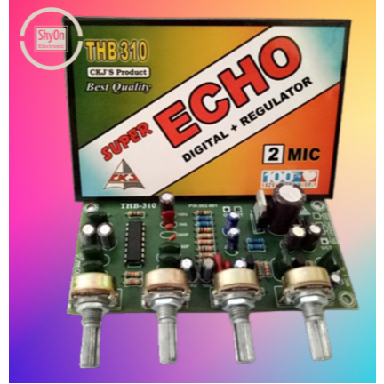 KIT SUPER ECHO DIGITAL + REGULATOR 2 MIC CKJ THB 310 ORIGINAL