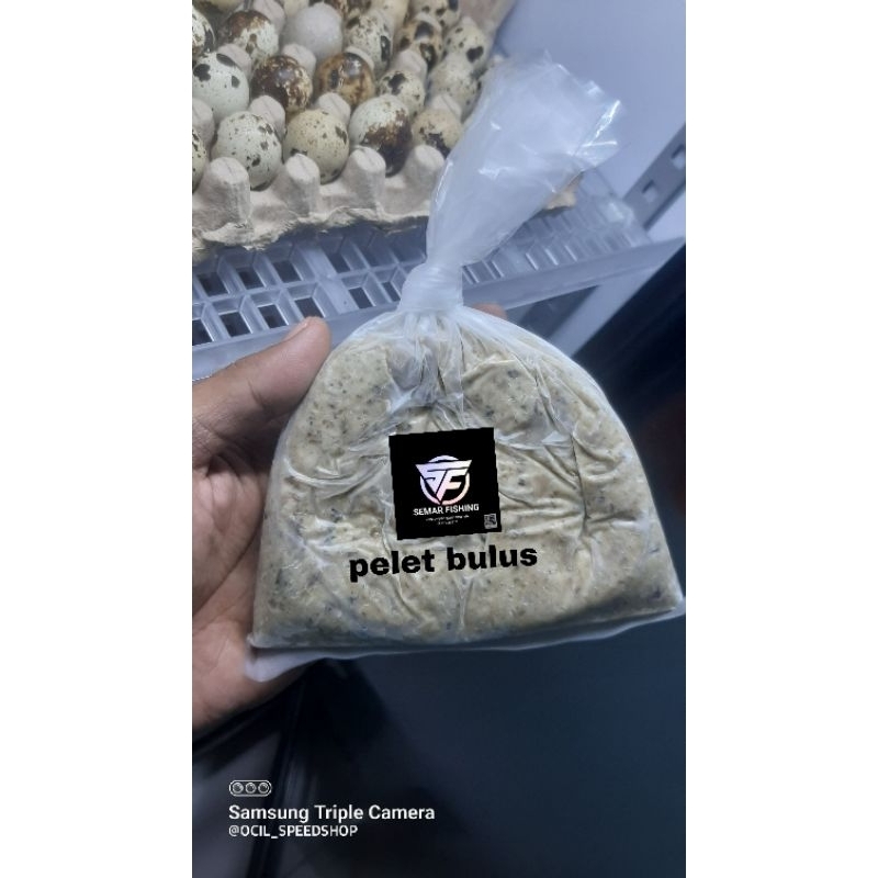 oelet bulus umpan galatama lele gacor