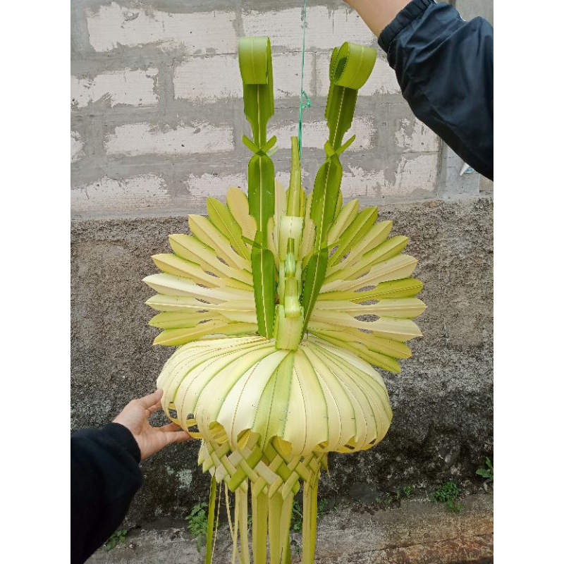 Janur kunin umbul" pernikahan/khitanan asli segar CIMAHI BDG PADALARANG