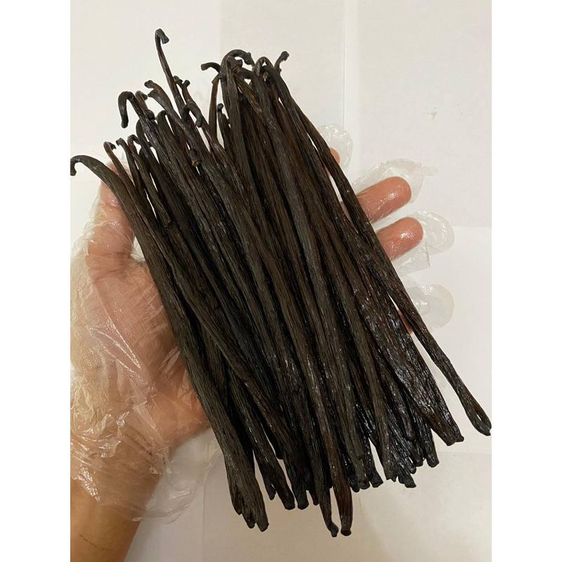 

Vanilla Bean Gourmet Grade A Planifolia