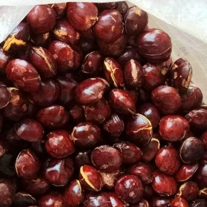 

Jring, jengkol, jengki tua 1kg