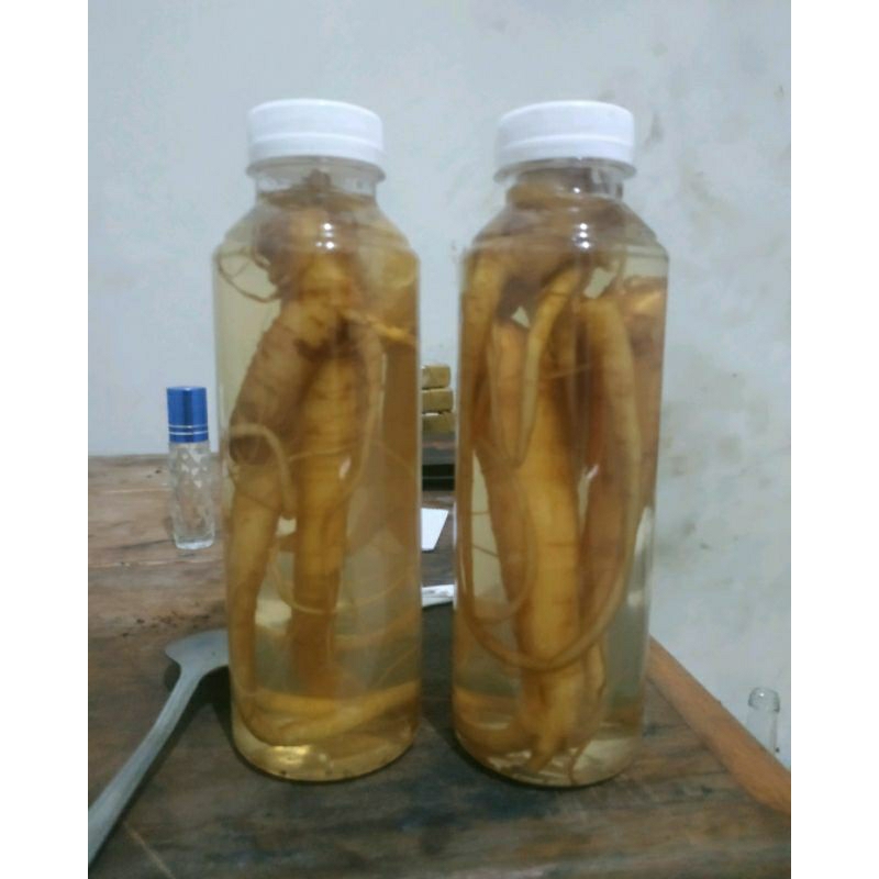 

Jamu tradisional