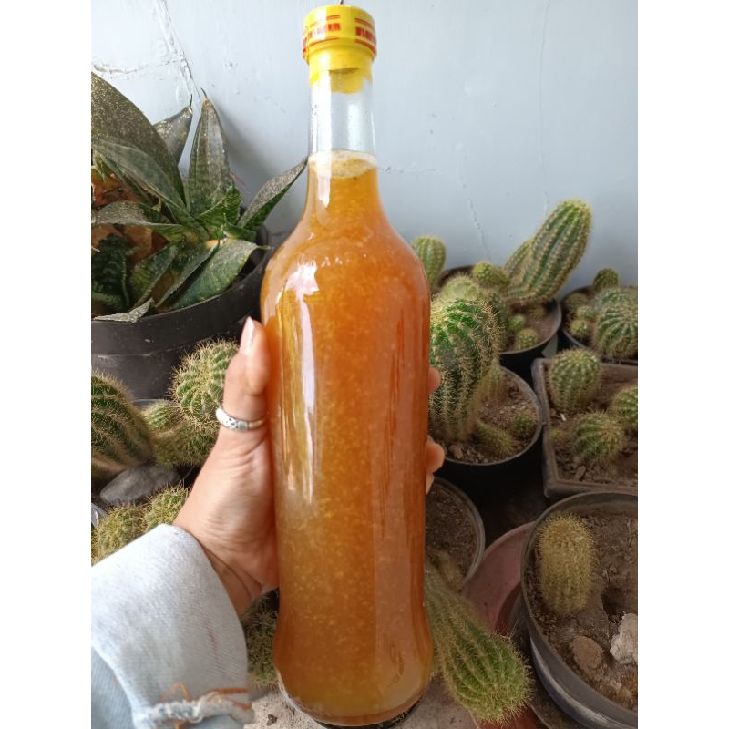 

Madu Murni 600Ml