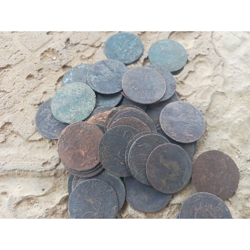 koin ayam temuan sungai asli