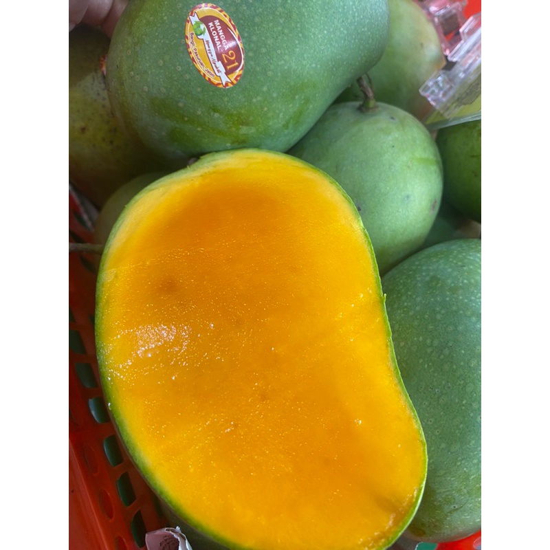 

mangga