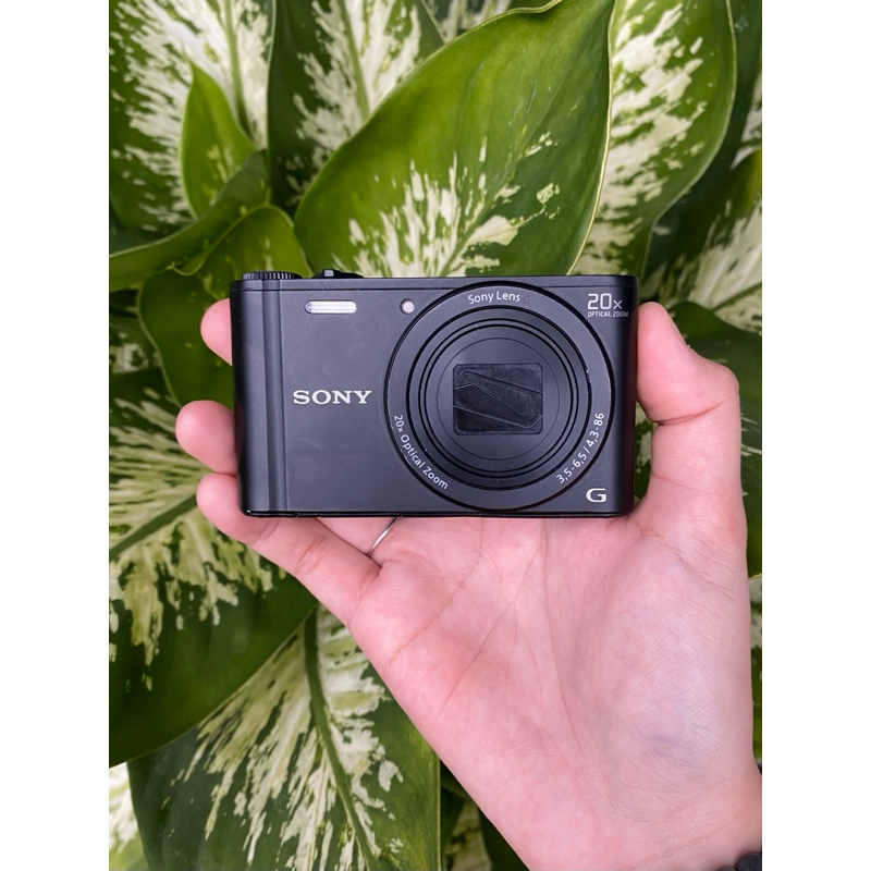 SONY DSC-WX350