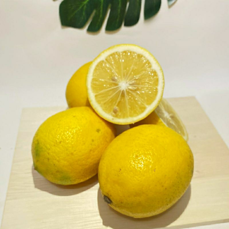 

buah lemon california fresh 500 grm