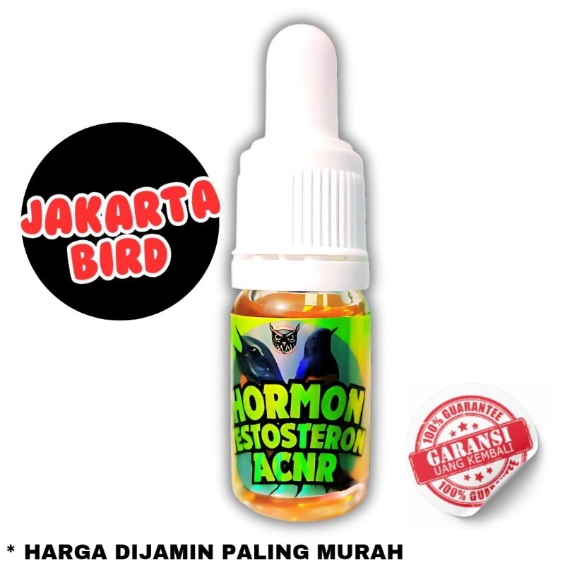 Hormon Testosteron Acnr