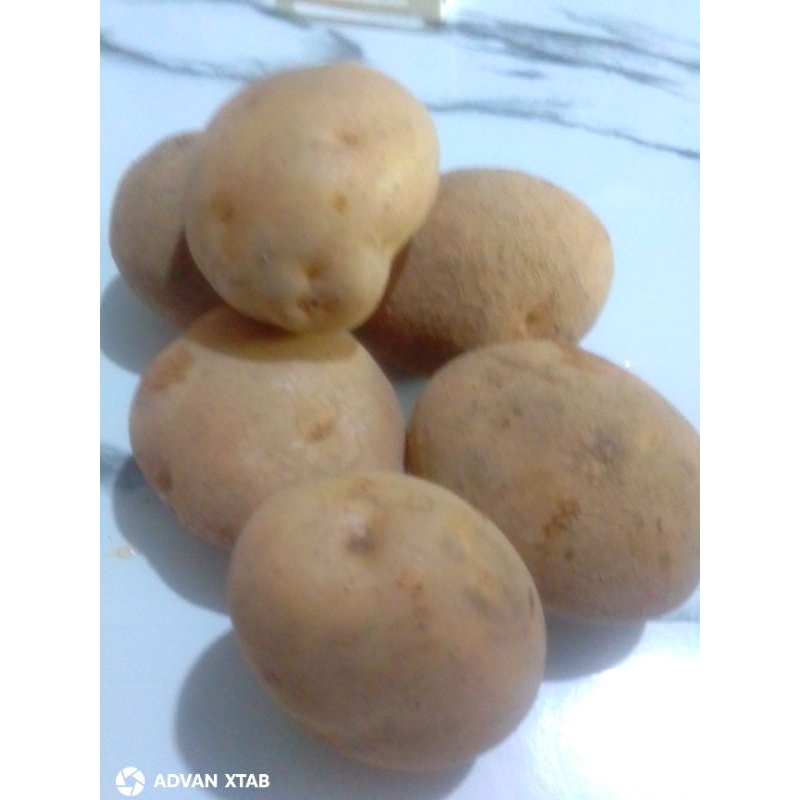 

Kentang Dieng 500gram