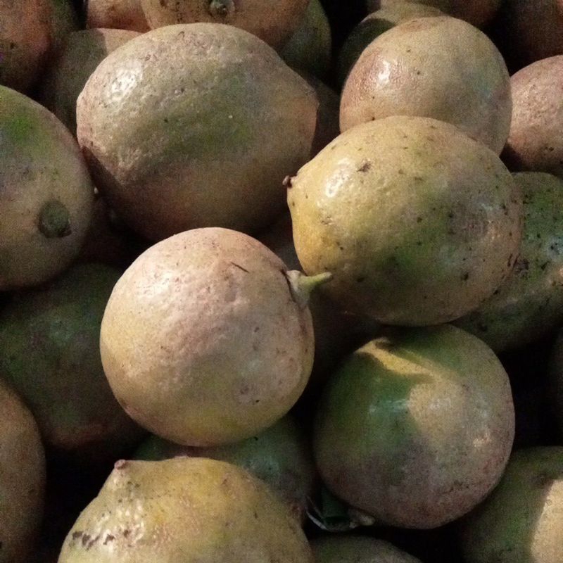 

lemon 500 gram
