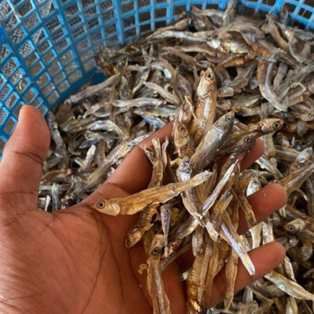 

Ikan Teri Kering Super Tipis & Renyah 100-1000 Gr