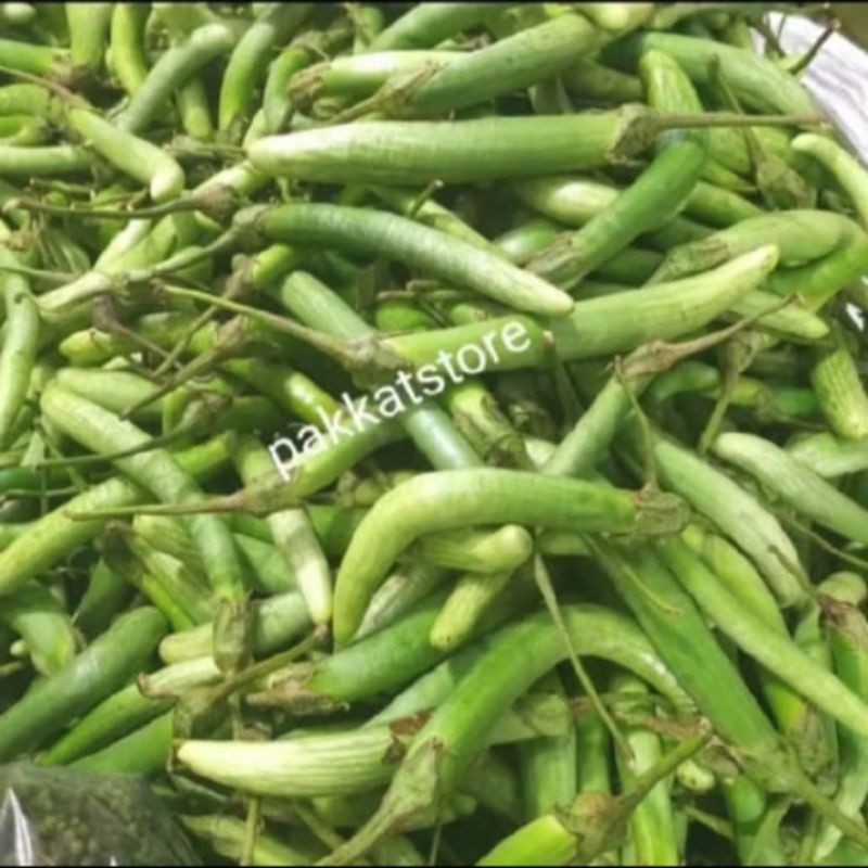 

Terong Telunjuk Segar Khas Medan 500gr