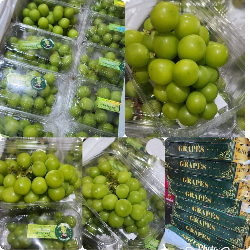 

Anggur shine Muscat per pack