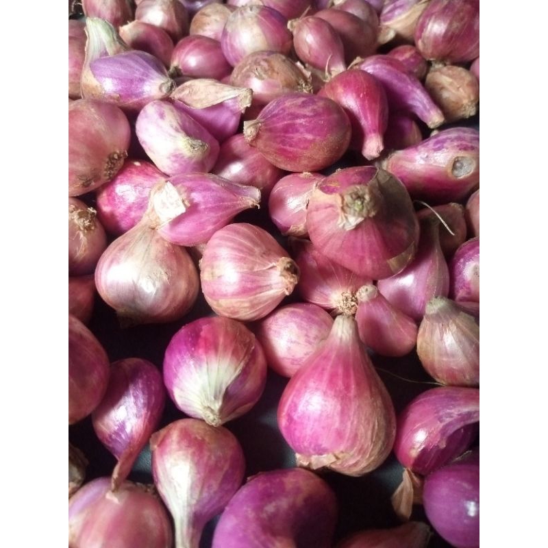 

Bawang Merah Brebes Campur 1kg