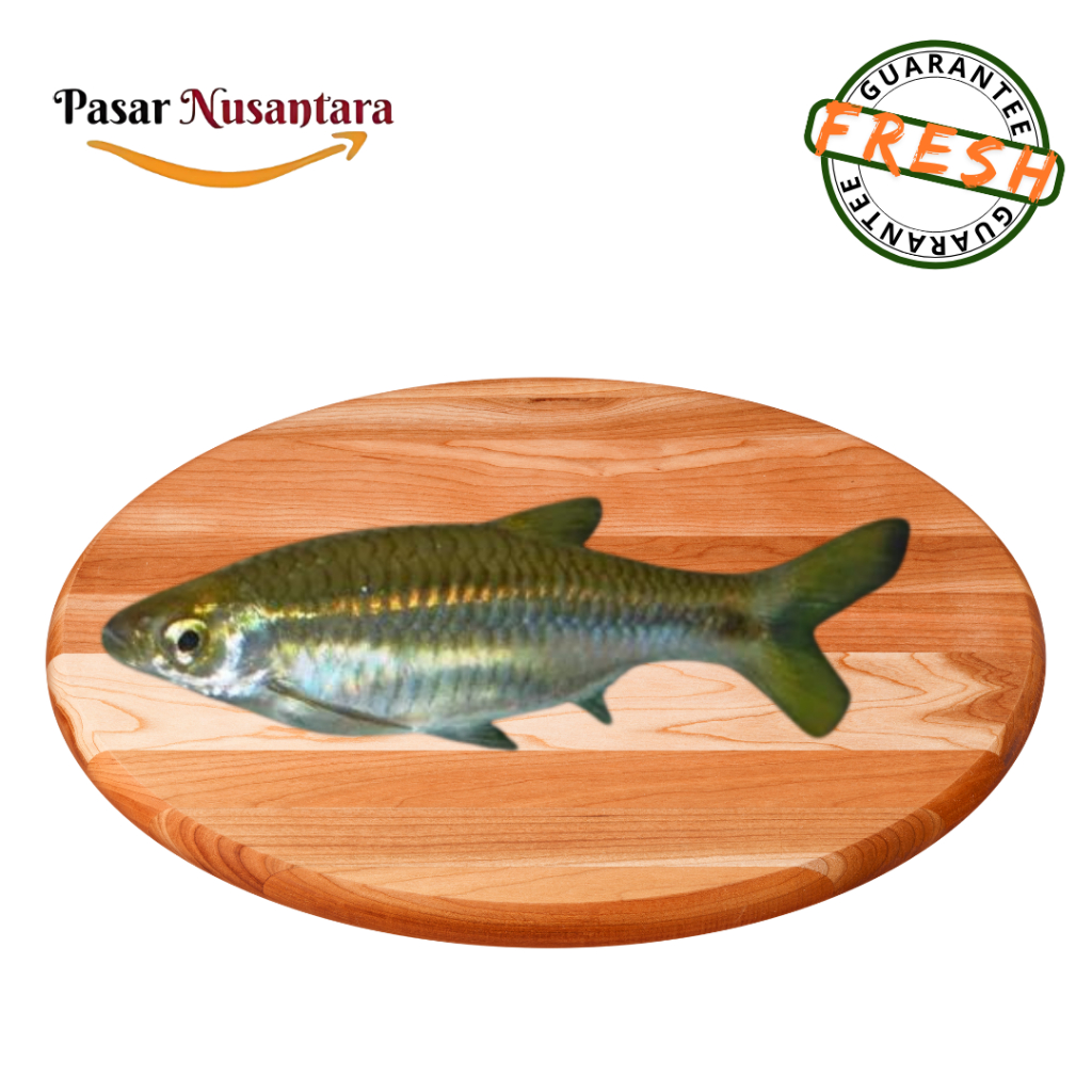 

Ikan seluang 250gr - Pasar Nusantara