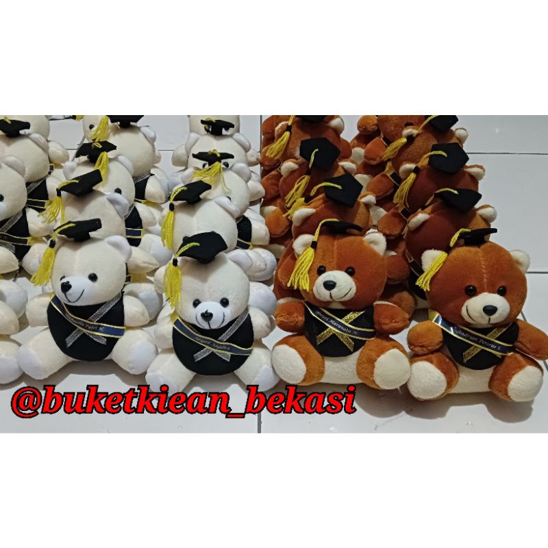 boneka wisuda / boneka wisuda plus selempang/ boneka beruang/ boneka wisuda plus nama / boneka buket