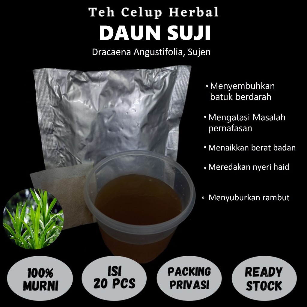 

Teh celup herbal DAUN SUJI Menaikkan berat badan batuk berdarah nyeri haid