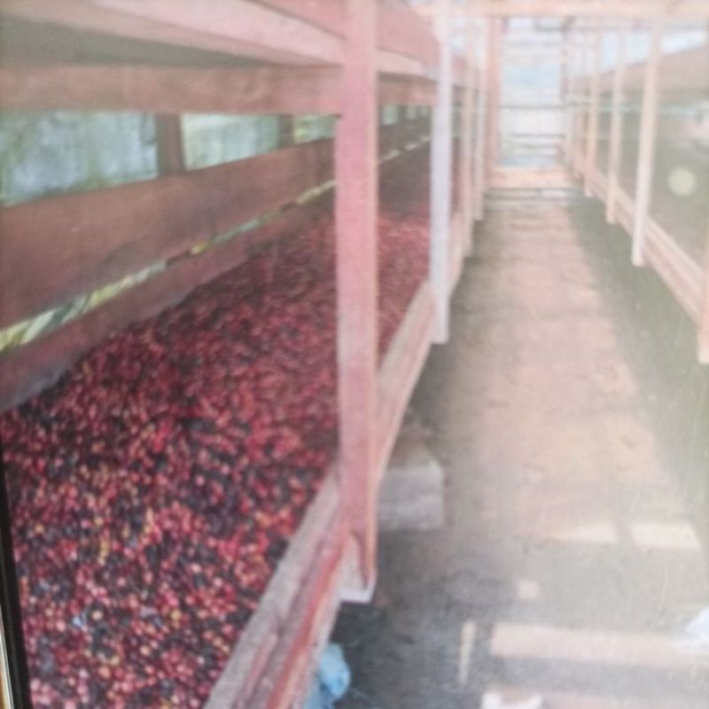 

kopi hitam