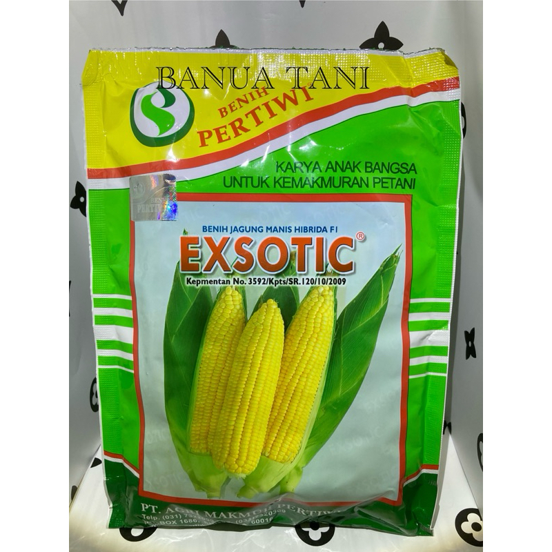 

BENIH BIBIT JAGUNG EXSOTIC F1 ISI 1750 butir