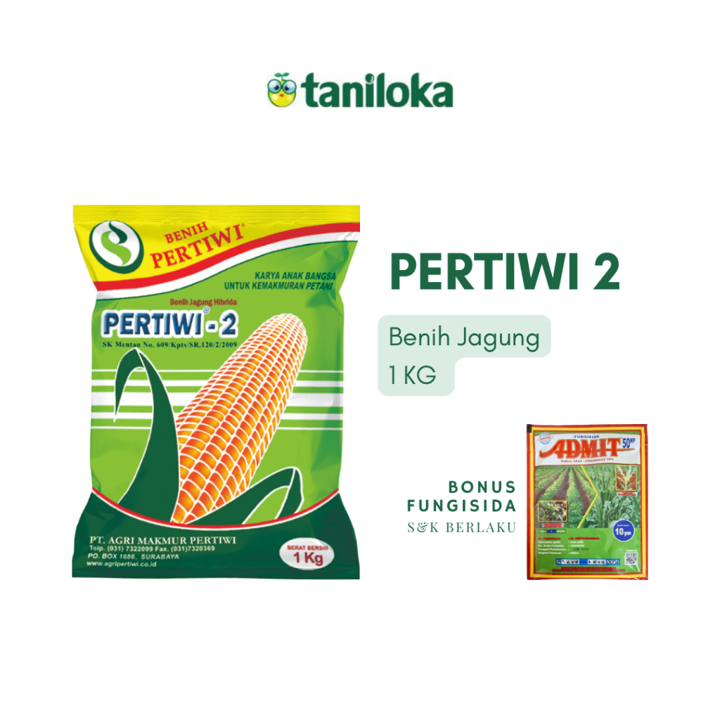 Benih Pertiwi - Benih Jagung Pertiwi 2 (1 Kg)