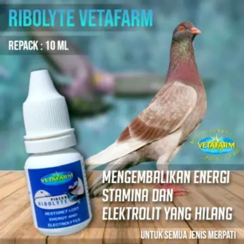 Agen Rebolyte Asli Australia | Rebolyte isi 10ml