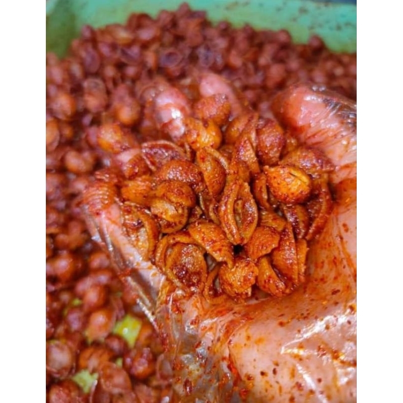 

MAKARONI KERANG homemade by BINTARASNACK Camilan Pedas kemasan 100gr,150gr, 250gr, 500gr, 1000gr