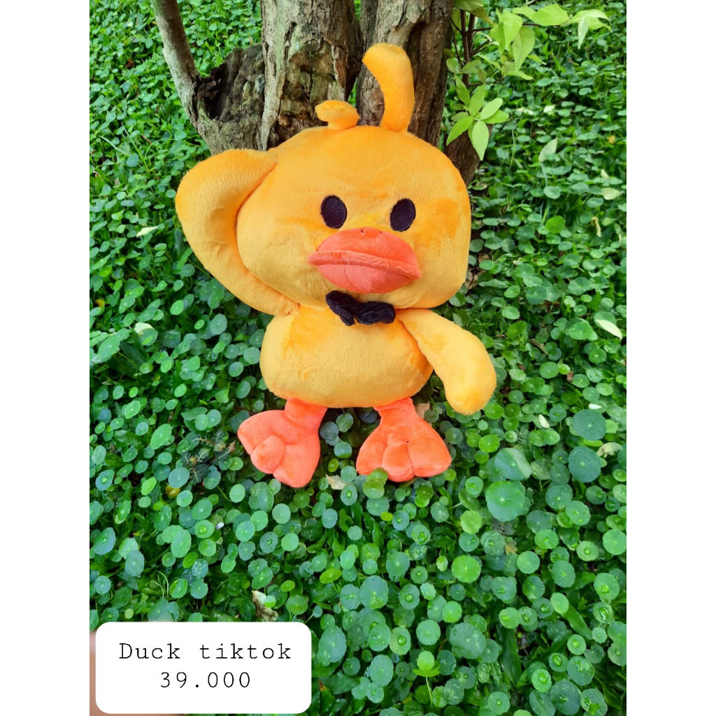 Boneka Bebek Duck Okey Piyo pio-HT BNK