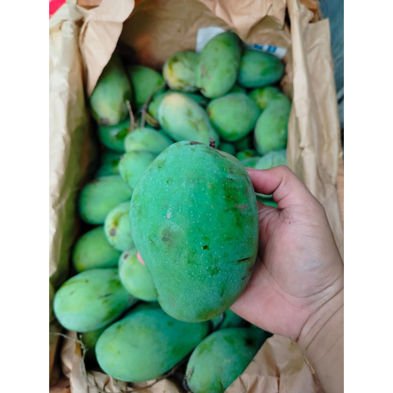 

Mangga Harum Manis Lokal 1Kg (Ready)