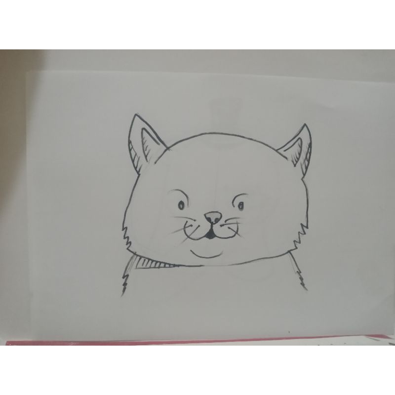 design gambar kucing lucu, lukisan tangan, sketsa kucing