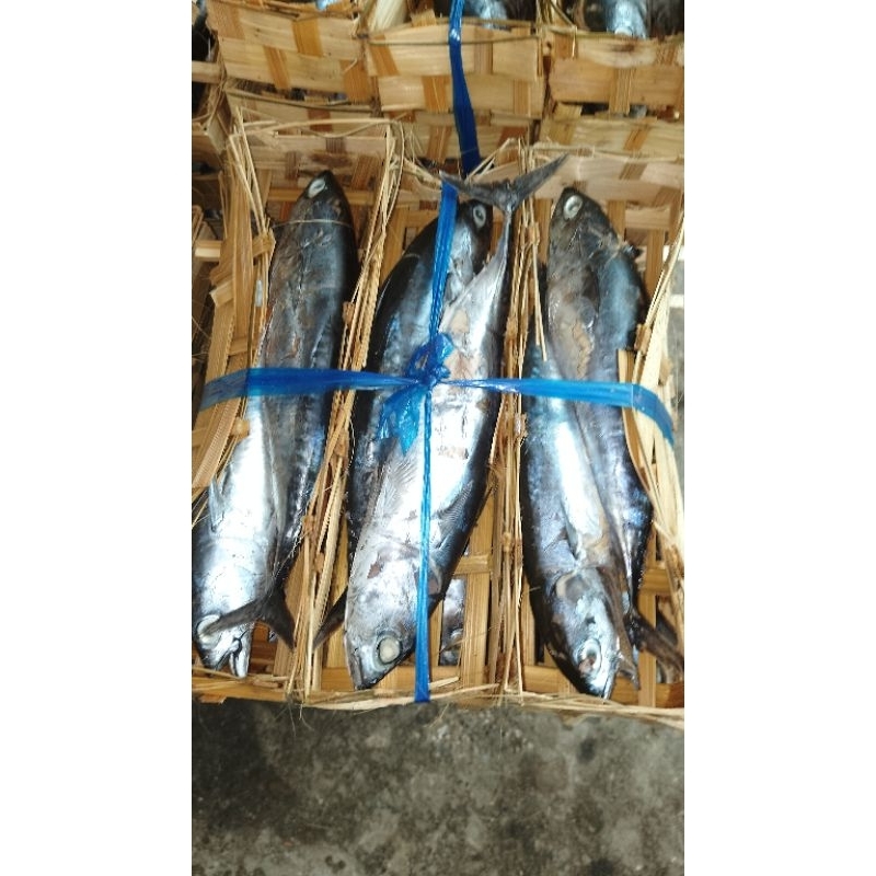 

Pindang ikan tongkol