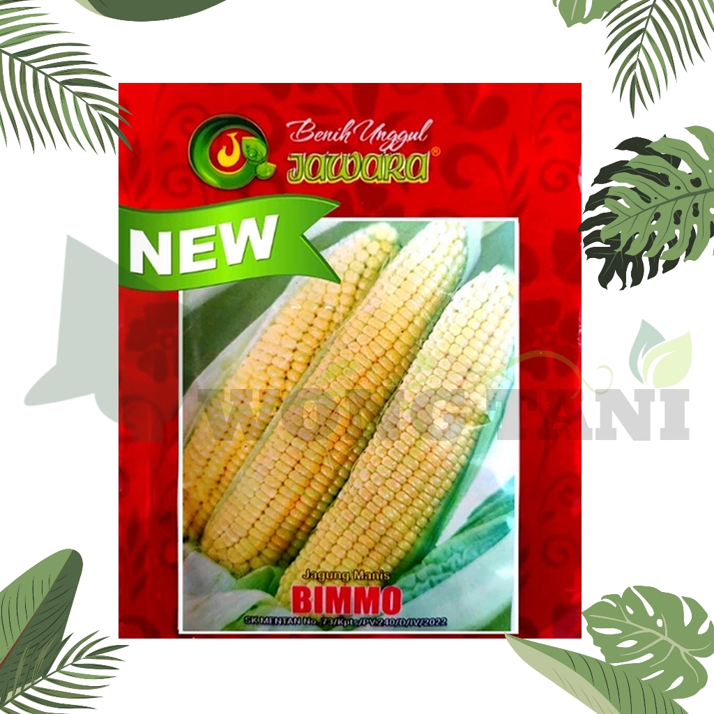 

bibit jagung manis BIMMO || produk asli JAWARA ISI 500 gram