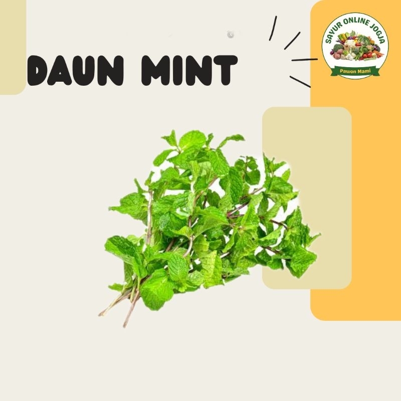 

Daun mint - PAWON MAMI SAYUR ONLINE JOGJA