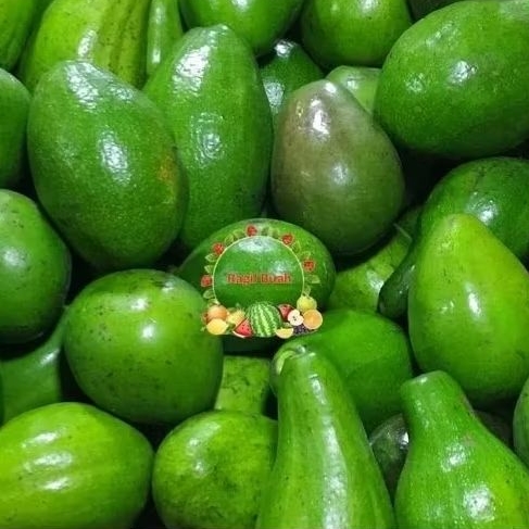 

Alpukat Mentega