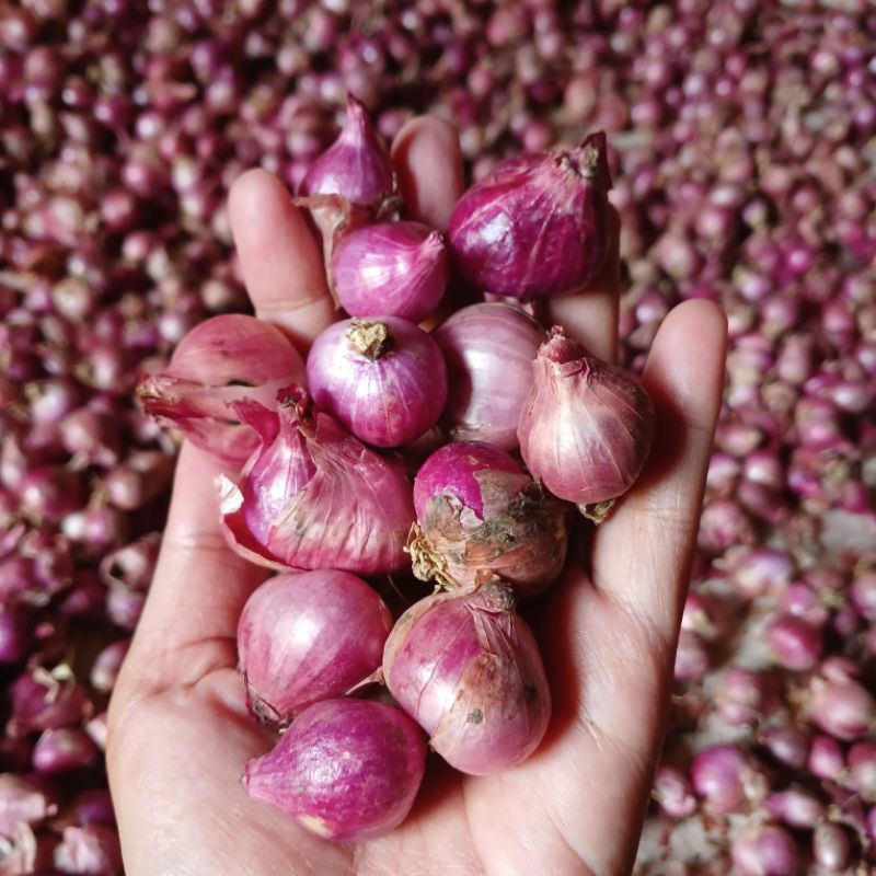 

bawang merah asli lokal campur sedang besar 1kg