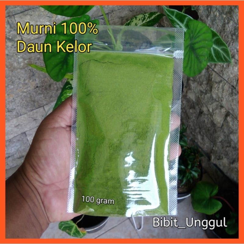 

Bubuk Daun kelor Murni 100 % | Best quality