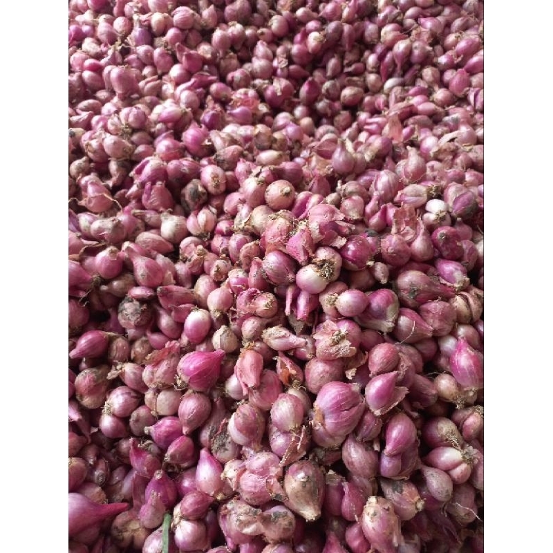 

bawang merah/bamer kering 1kg