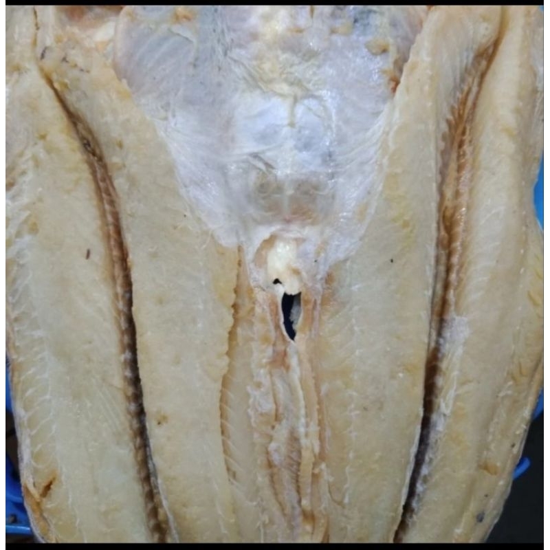 

Ikan Asin jambal 250gram