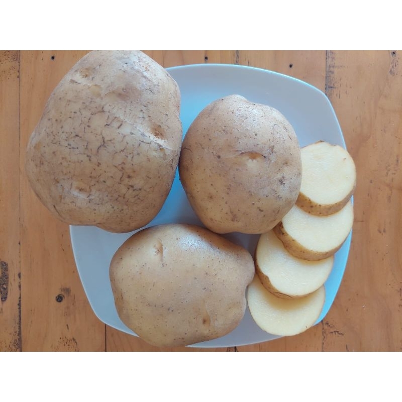 

Kentang Dieng Besar AB Super 5kg [MM -sayur segar -kentang segar -kentang super - kentang jumbo]