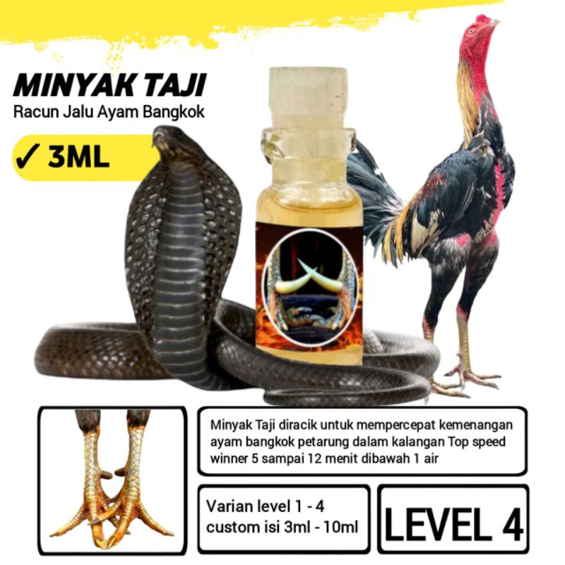 racun jago bangkok petarung pukul perusak leher badan punggung level 4